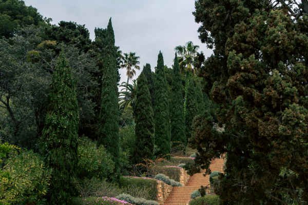 Graves to Gardens